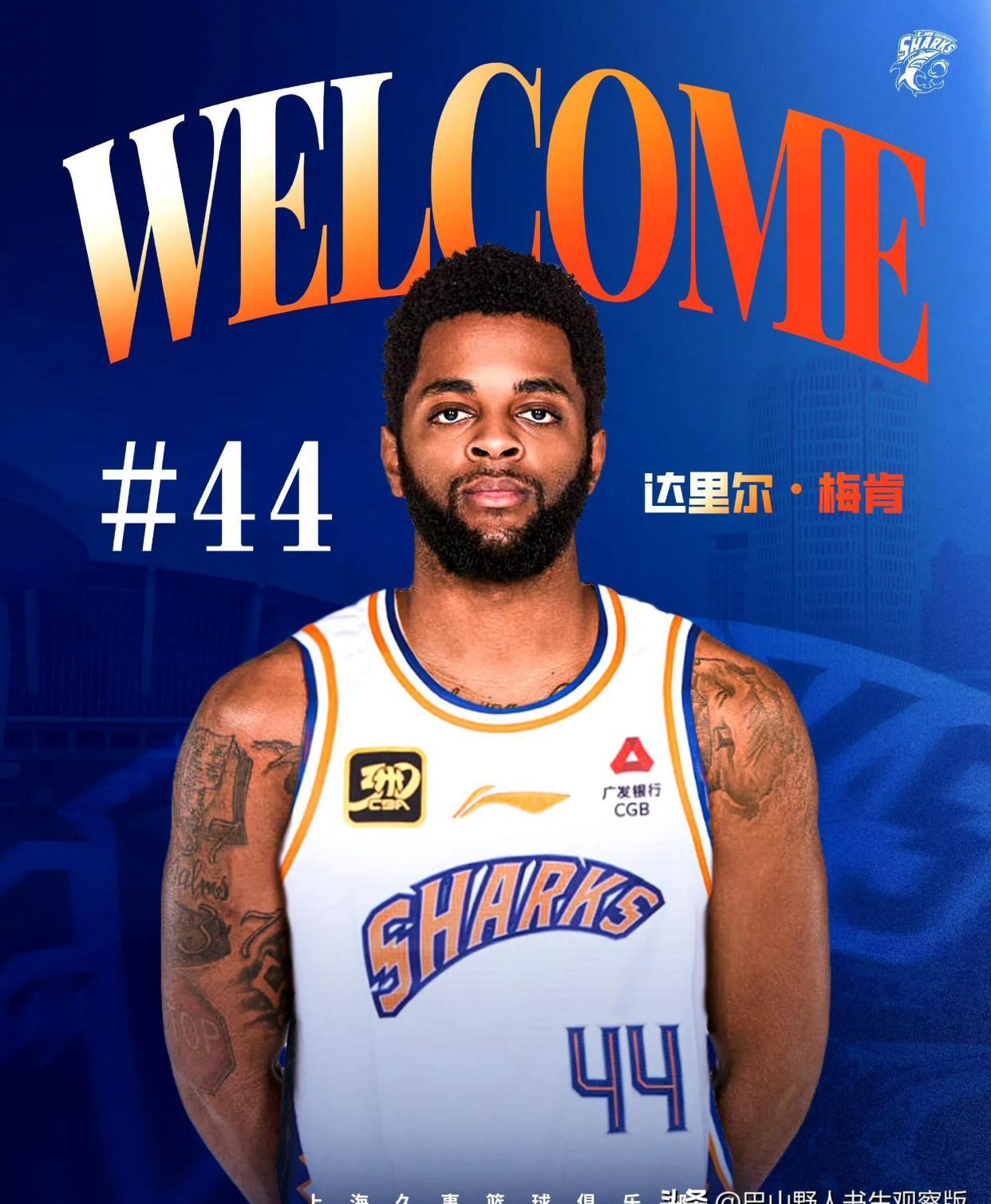 上海大鲨鱼队新秀表现抢眼，成为球队焦点