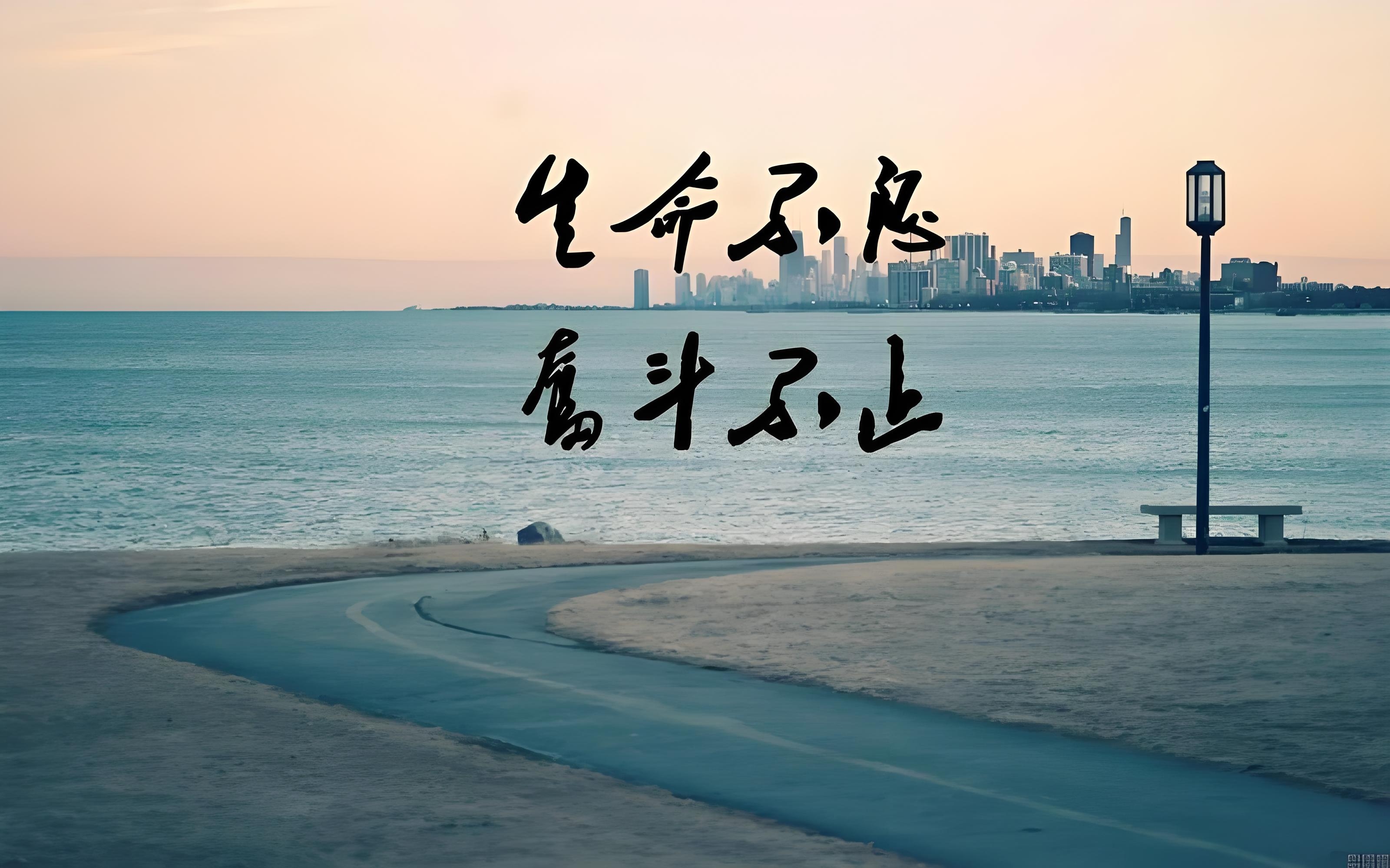 他们用实力和拼搏征服了所有人